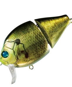 Valley Hill Boogie Back Hard Body