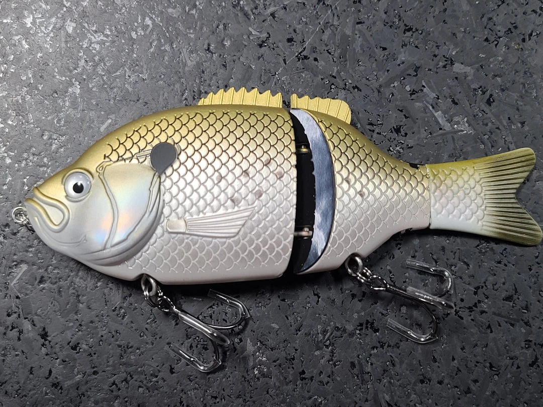 Baitsanity Explorer Gill 6 Hard Body 8 Baitsanity Explorer Gill 6 Hard Body