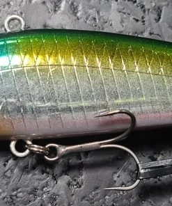 Obass Live Lipless Mola Mola Doryuu Silent