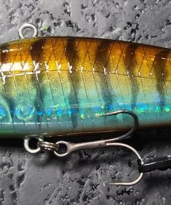 Obass Live Lipless Mola Mola Doryuu Silent