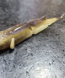 YG.Iabo Creatures Witch Lana