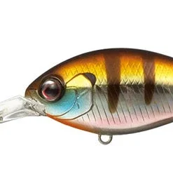 Evergreen International Combat Crank 320