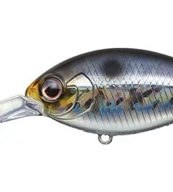 Evergreen International Combat Crank 320