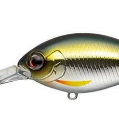 Evergreen International Combat Crank 320