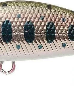 Lucky Craft Jerkbaits Pointer 50 12 Lucky Craft Jerkbaits Pointer 50