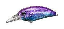 Duo Realis Shallow Diving (0-7ft.) M62 5A Crankbaits