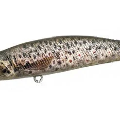 Duo Realis Spearhead Ryuki 80S Jerkbaits