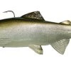 Huddleston Deluxe Soft Body 8 Inch Swimbaits