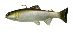 Huddleston Deluxe Soft Body 8 Inch Swimbaits