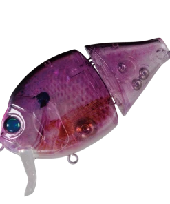 Valley Hill Boogie Back Hard Body