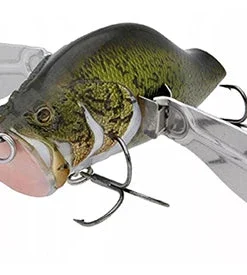 Adusta Zacrawl Yajirobee Crawlers