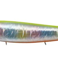 Evergreen International Amazon