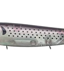 Evergreen International Amazon