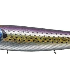 Evergreen International Amazon