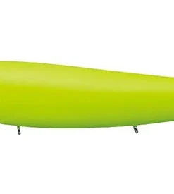 Evergreen International Amazon