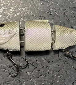 Triton Mike Bucca Hard Body Bull Herring