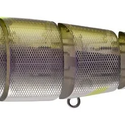 Madness Japan Hard Body Balam 245