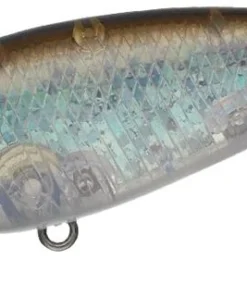 Evergreen International Belcanto Shallow Diving (0-7ft.)