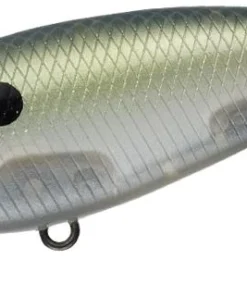 Evergreen International Belcanto Shallow Diving (0-7ft.)