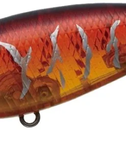 Evergreen International Belcanto Shallow Diving (0-7ft.)