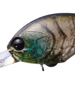 OSP Tiny Blitz DR 55 OSP Tiny Blitz DR