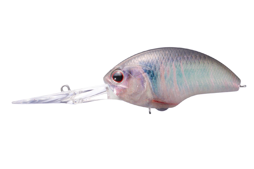 OSP Blitz EX DR 31 OSP Blitz EX DR