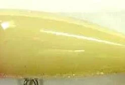 Yellow Magic Magnum Popper 17 Yellow Magic Magnum Popper