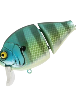 Valley Hill Boogie Back Hard Body