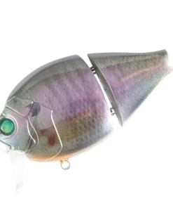 Valley Hill Boogie Back Hard Body