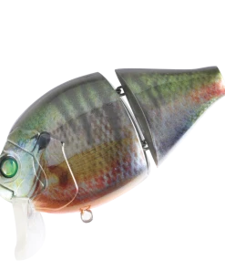 Valley Hill Boogie Back Hard Body