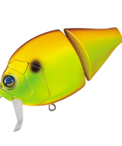 Valley Hill Boogie Back Hard Body