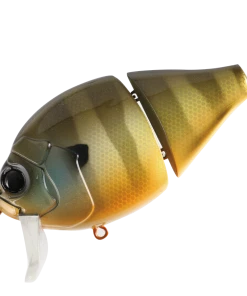 Valley Hill Boogie Back Hard Body