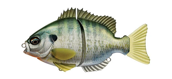 Evergreen International Hard Body Bream Slide 5 Evergreen International Hard Body Bream Slide