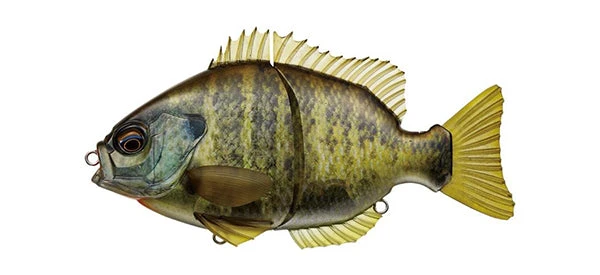 Evergreen International Hard Body Bream Slide 8 Evergreen International Hard Body Bream Slide