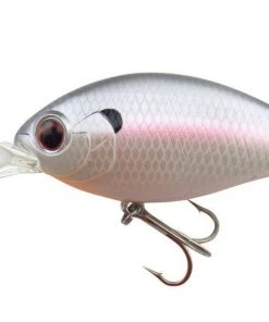 Evergreen USA CR-8 Crankbaits Medium Diving (8-14ft.)