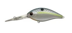 Evergreen USA CR-13 Crankbaits Medium Diving (8-14ft.)