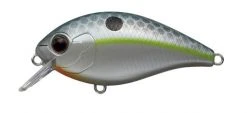 Evergreen USA CR-2 Crankbaits 13 Evergreen USA CR-2 Crankbaits