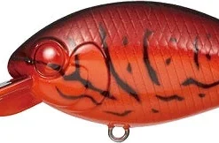 Evergreen USA CR-8 Crankbaits Medium Diving (8-14ft.)