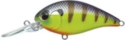 Evergreen USA CR-8 Crankbaits Medium Diving (8-14ft.)