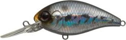 Evergreen USA Shallow Diving (0-7ft.) CR-6 Crankbaits