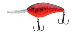 Strike King Pro Model 6XD Crankbaits