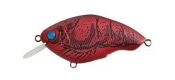 Nishine Lure Works Chippawa RB Silent Shallow Diving (0-7ft.) 25 Nishine Lure Works Chippawa RB Silent Shallow Diving (0-7ft.)