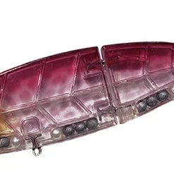 Wild Lures Wild Beat Hard Body 20 Wild Lures Wild Beat Hard Body