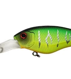 ISM Closer 55F Shallow Diving (0-7ft.)