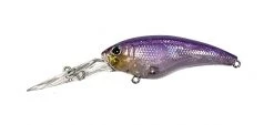 ISM Closer 55F Shallow Diving (0-7ft.)