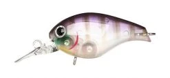 Lucky Craft Shallow Diving (0-7ft.) Clutch Series 32 Lucky Craft Shallow Diving (0-7ft.) Clutch Series