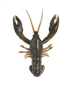 Nikko Lures Nikko Craws