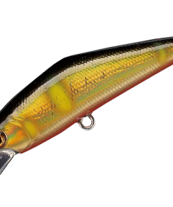 Smith LTD. D-Contact 50