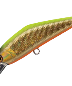 Smith LTD. D-Contact 50