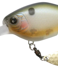 Nishine Lure Works Chippawa DD Blade Medium Diving (8-14ft.) 19 Nishine Lure Works Chippawa DD Blade Medium Diving (8-14ft.)